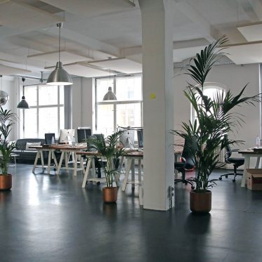 Büro einrichten: Ästhetik, Wohlbefinden und Effizienz durch clevere Raumgestaltung steigern